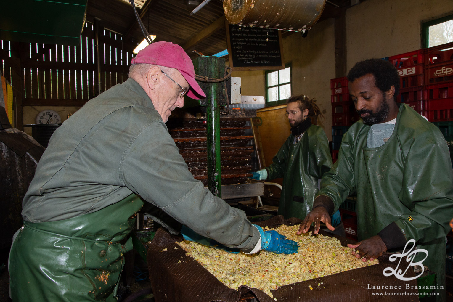Préparation de jus de pommes à Langon