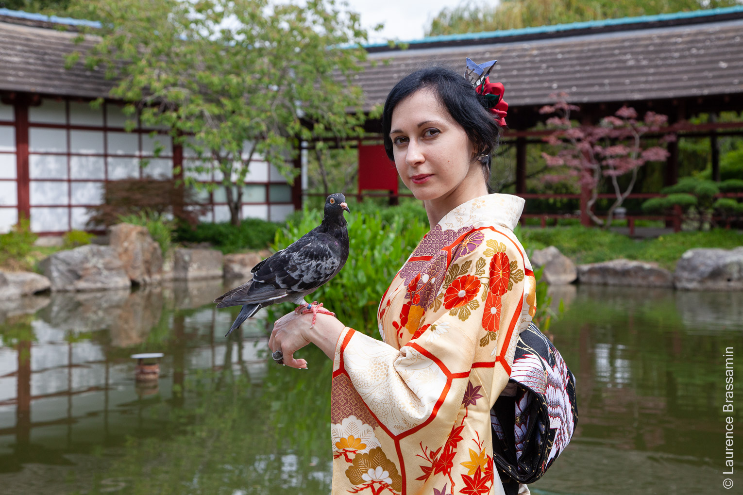 Amandine et son pigeon biset, Armin