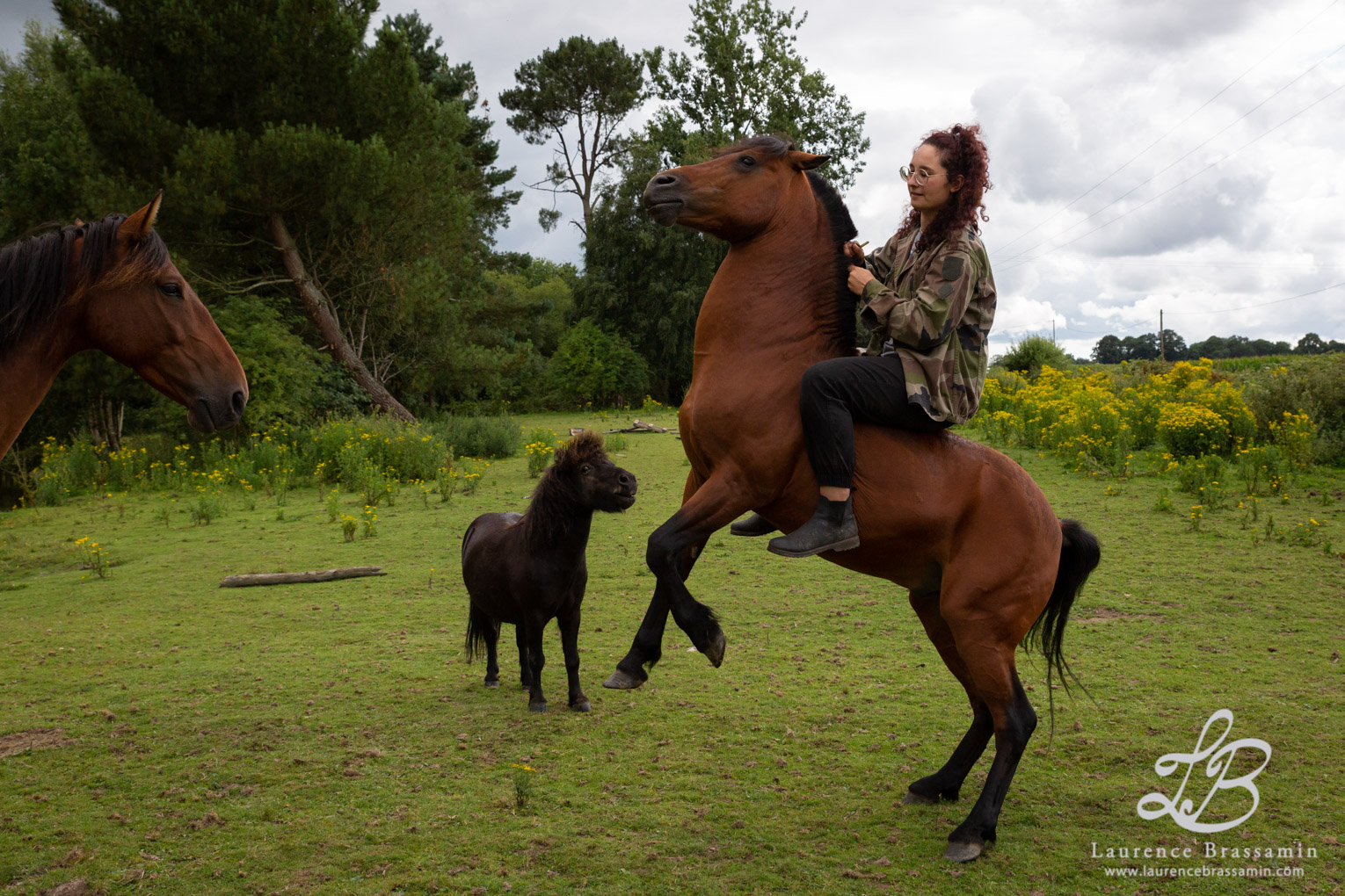 Maeva et ses poneys