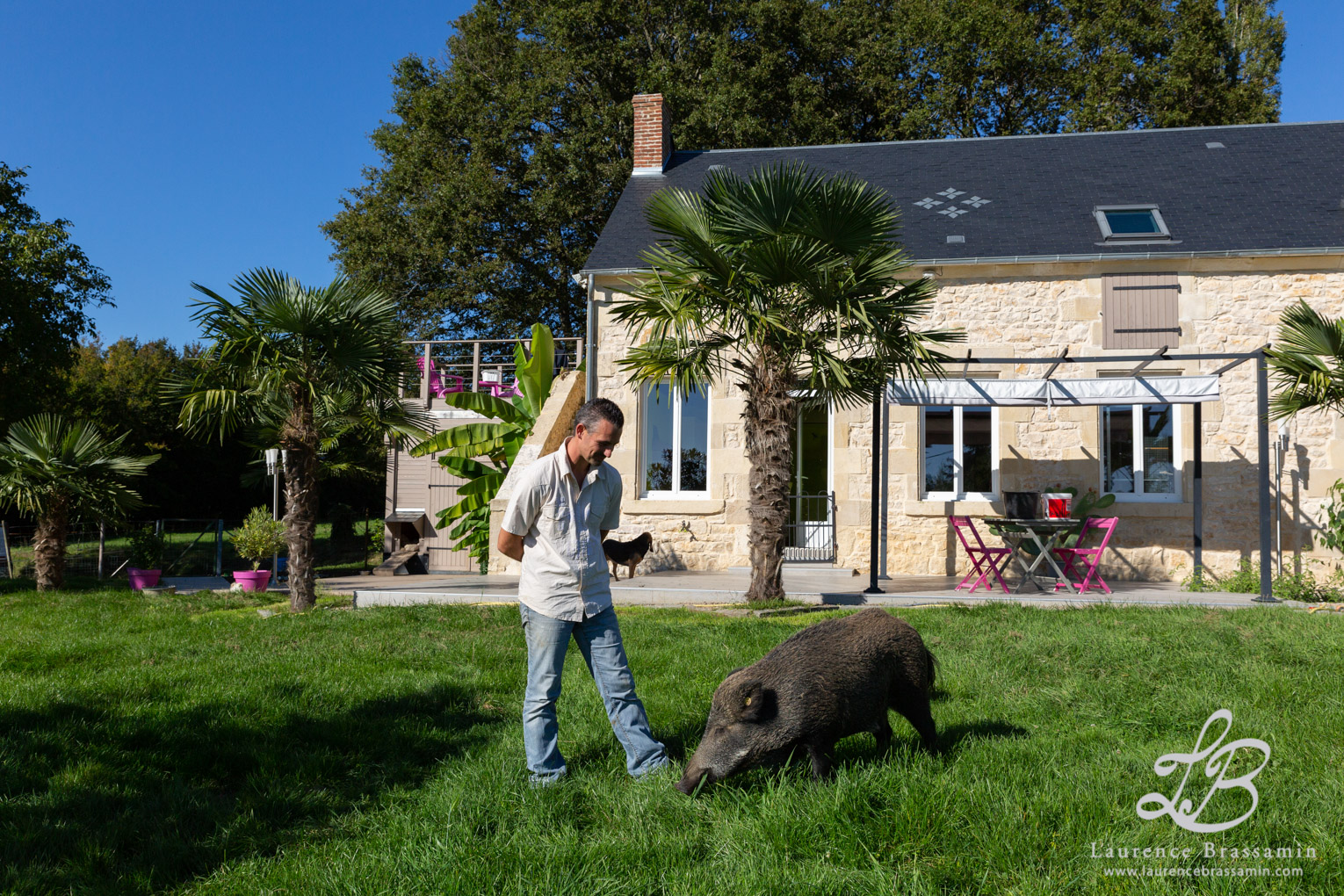 Nicolas et ses « animaux de ferme » adoptés en « animal de compagnie »