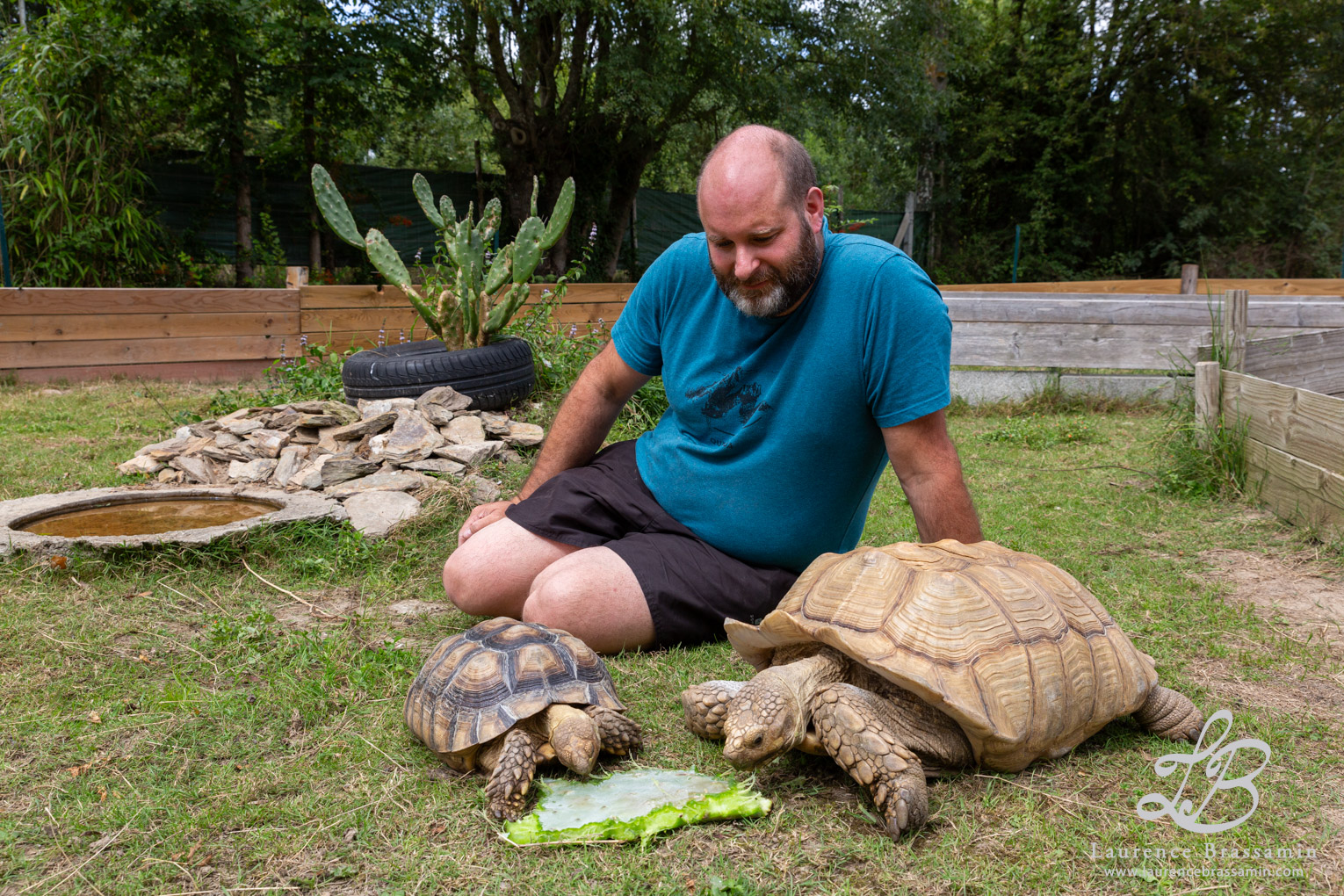 Samuel et ses tortues de terre